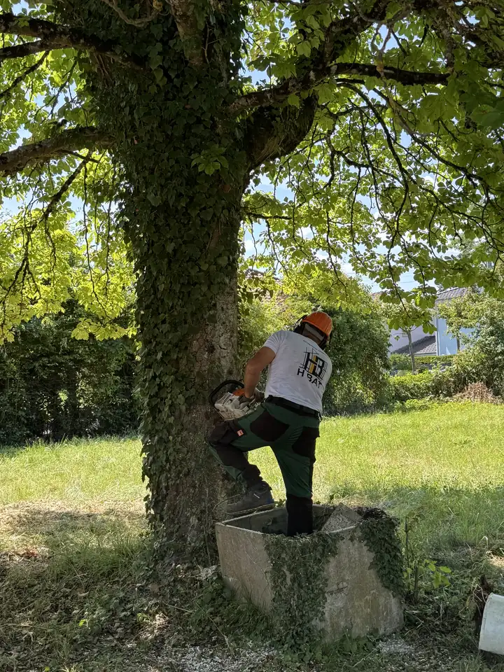Ouvrier de H Bat Sàrl en t-shirt de l'entreprise, tronçonneuse en main, sur un chantier d'élagage